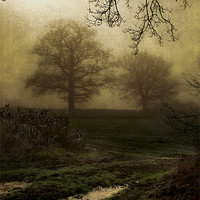 Buy canvas prints of Through the mist by Dawn Cox