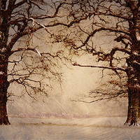 Buy canvas prints of Winter at its coldest by Dawn Cox
