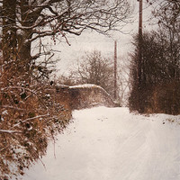Buy canvas prints of Winter in the Countryside by Dawn Cox