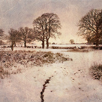 Buy canvas prints of snow near chiddingstone causeway, kent by Dawn Cox