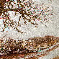 Buy canvas prints of snowy kent country lane by Dawn Cox