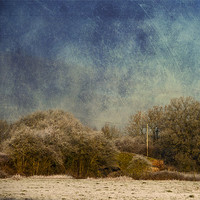 Buy canvas prints of Corner of a field by Dawn Cox