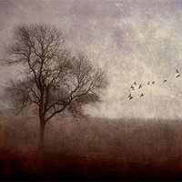 Buy canvas prints of Dark Rising by Dawn Cox