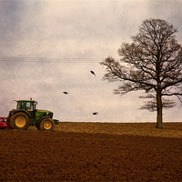 Buy canvas prints of ploughing the field by Dawn Cox