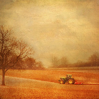 Buy canvas prints of Working the Fields by Dawn Cox