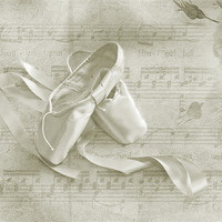 Buy canvas prints of Ballet Shoes by Dawn Cox