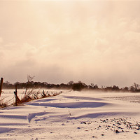 Buy canvas prints of snow covered fields by Dawn Cox