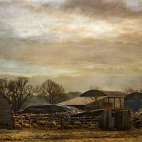 Buy canvas prints of Down on the Farm by Dawn Cox