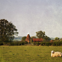 Buy canvas prints of Rural Kent by Dawn Cox