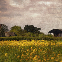 Buy canvas prints of Old Barn and Oast by Dawn Cox