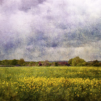 Buy canvas prints of Over the Fields by Dawn Cox