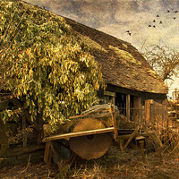 Buy canvas prints of The Woodcutters Cottage by Dawn Cox