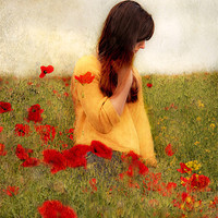 Buy canvas prints of Woman in poppy field by Dawn Cox