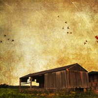 Buy canvas prints of Old Barn. by Dawn Cox