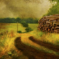 Buy canvas prints of country lane by Dawn Cox