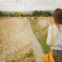 Buy canvas prints of The path ahead by Dawn Cox