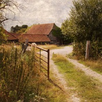 Buy canvas prints of Kent country lane by Dawn Cox