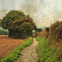 Buy canvas prints of Country  Footpath by Dawn Cox
