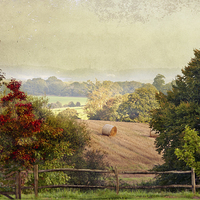 Buy canvas prints of October Fields by Dawn Cox