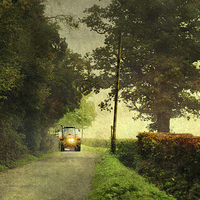 Buy canvas prints of The narrow lane by Dawn Cox