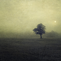 Buy canvas prints of Dark moon Rising by Dawn Cox
