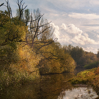 Buy canvas prints of Along the riverbank by Dawn Cox