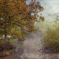 Buy canvas prints of Autumn at Chiddingstone by Dawn Cox