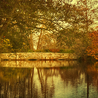 Buy canvas prints of Autumn Reflections by Dawn Cox