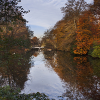 Buy canvas prints of Autumn Reflections by Dawn Cox