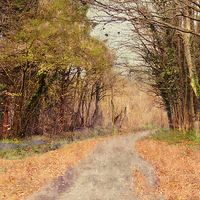 Buy canvas prints of Down the lane by Dawn Cox