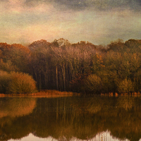 Buy canvas prints of The Glass Lake by Dawn Cox