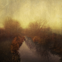 Buy canvas prints of Winter walk by Dawn Cox