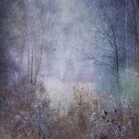 Buy canvas prints of Fairy Glade by Dawn Cox