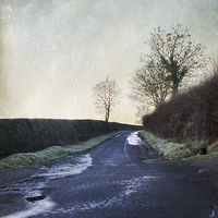 Buy canvas prints of The Road Home by Dawn Cox