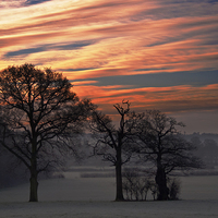 Buy canvas prints of Sun Rise over Chiddingstone by Dawn Cox