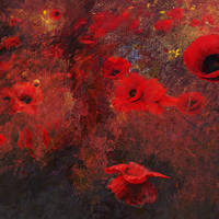 Buy canvas prints of A Chaos of Poppies by Dawn Cox