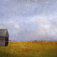 Buy canvas prints of Empty by Dawn Cox