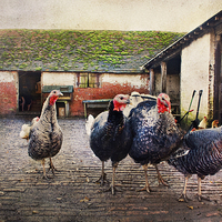 Buy canvas prints of The Farm Yard  by Dawn Cox