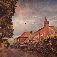 Buy canvas prints of  The Lane by Dawn Cox