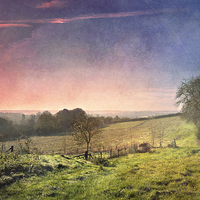 Buy canvas prints of Pink Skies  by Dawn Cox