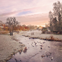 Buy canvas prints of  River Darenth by Dawn Cox