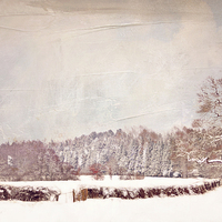 Buy canvas prints of  Winter Walk by Dawn Cox