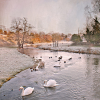 Buy canvas prints of Along the River Darenth  by Dawn Cox