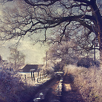 Buy canvas prints of Kent Winter Landscape by Dawn Cox