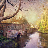 Buy canvas prints of River Darenth, Kent by Dawn Cox