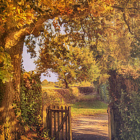 Buy canvas prints of Through the Gate by Dawn Cox