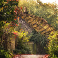 Buy canvas prints of The Cottage by Dawn Cox