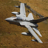 Buy canvas prints of Tornado GR4 Low Fly by Izzy Standbridge