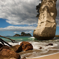 Buy canvas prints of Cathedral Cove Beach, New Zealand by Izzy Standbridge