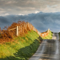 Buy canvas prints of Road to nowhere by Izzy Standbridge